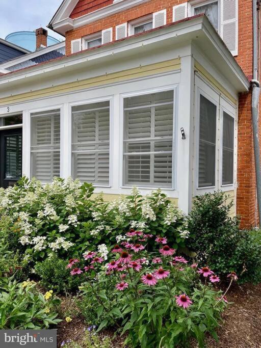Vintage Charm: Retreat Holiday home Annapolis